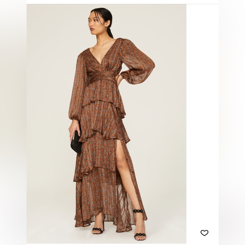 Astr Terracotta Floral Dress